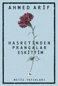 Hasretinden Prangalar Eskittim kitap kapağı