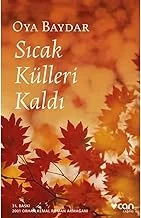 Sıcak Külleri Kaldı